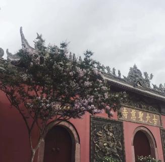 极悦娱乐：助力公益活动建设，实现经济效益与社会效益的双赢！